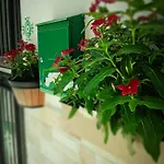 Hébergement de vacances A Meravigghia *